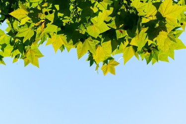 Similar image 318318