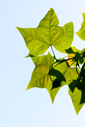 Similar image 318320