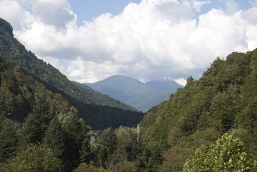 Similar image 318343