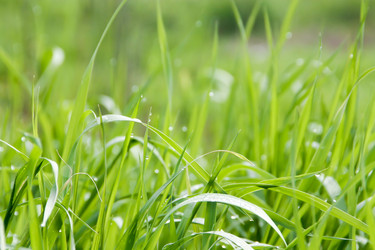 Similar image 318362