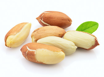 Similar image 318374