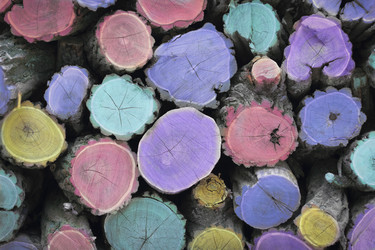 Similar image 318375