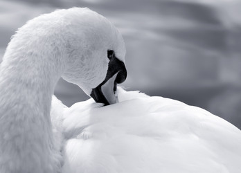 Similar image 318380