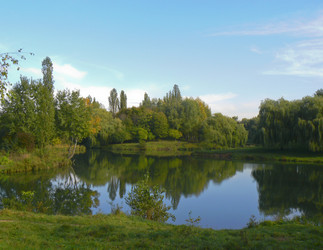 Similar image 318388