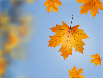 Similar image 318406