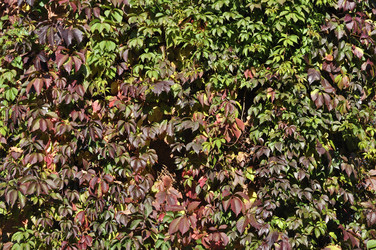 Similar image 318411