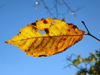 Similar image 318415