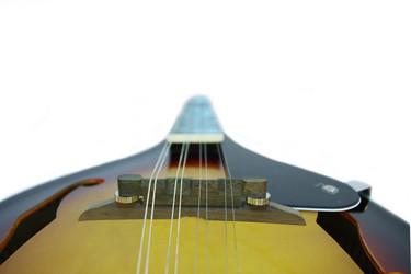 Similar image 318423