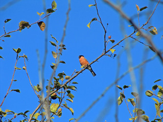 Similar image 318451