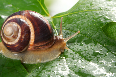 Similar image 318505