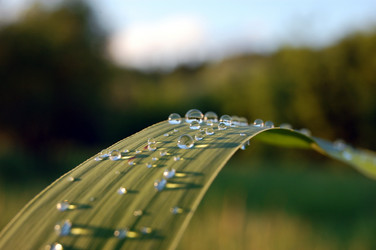 Similar image 318508