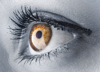 Similar image 318510