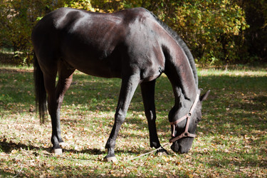 Similar image 318540