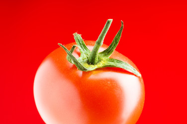 Similar image 318616