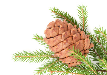 Similar image 318617