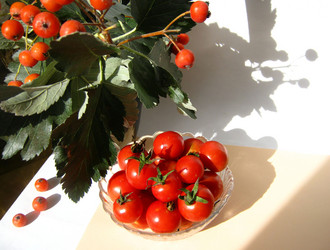 Similar image 318618