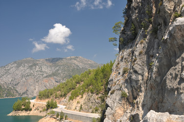 Similar image 318626