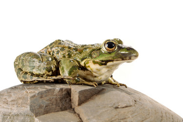 Similar image 318663