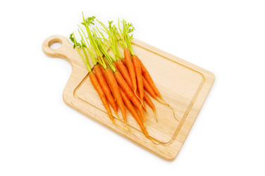 Similar image 318667