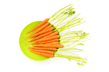 Similar image 318668