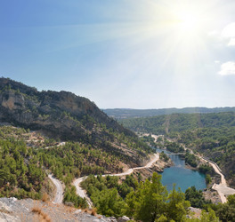 Similar image 318686