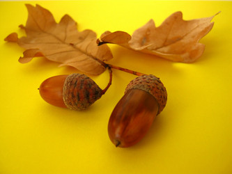 Similar image 318731