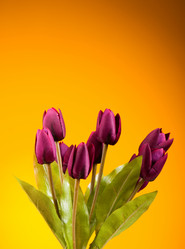 Similar image 318733