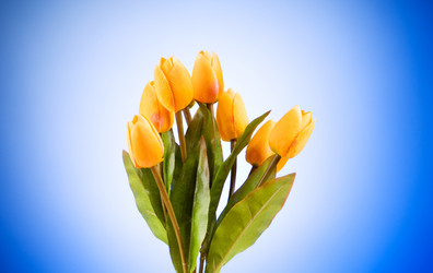 Similar image 318736