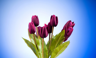 Similar image 318738