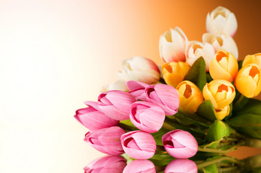 Similar image 318741