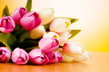 Similar image 318743