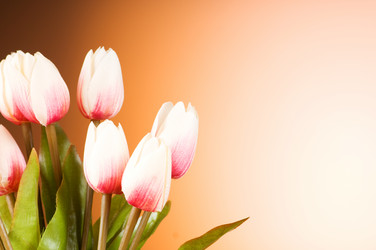 Similar image 318745