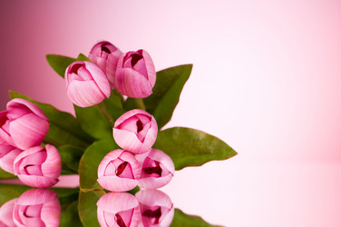 Similar image 318747