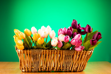 Similar image 318795