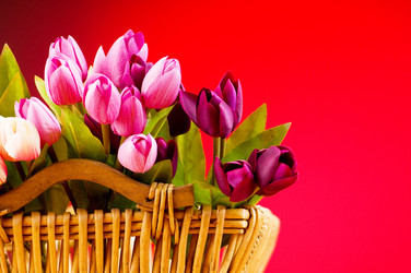 Similar image 318810