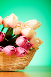 Similar image 318838