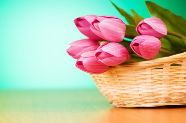 Similar image 318839