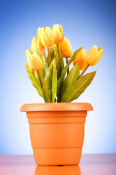 Similar image 318844