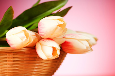 Similar image 318849