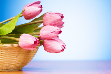 Similar image 318850