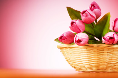 Similar image 318851