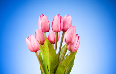 Similar image 318871