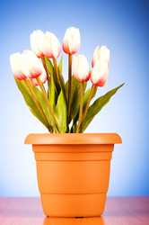 Similar image 318872