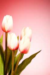 Similar image 318878