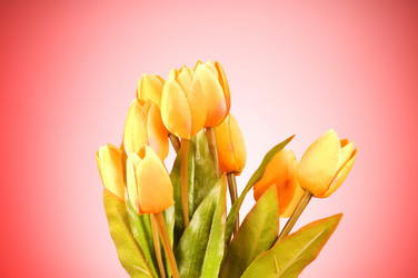 Similar image 318879