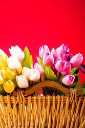 Similar image 318883