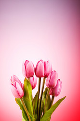 Similar image 318884