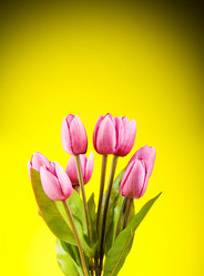 Similar image 318886