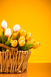 Similar image 318887