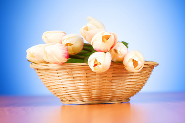 Similar image 318889